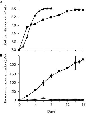 Identification and Unusual Properties of the Master Regulator FNR in the Extreme Acidophile <mark class="highlighted">Acidithiobacillus ferrooxidans</mark>